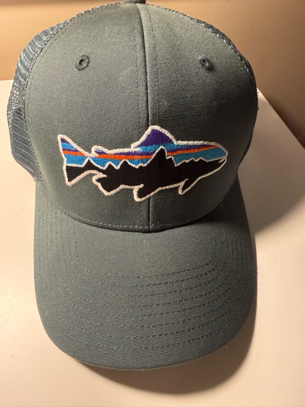 PATAGONIA | Fitz Roy Trout Trucker hat